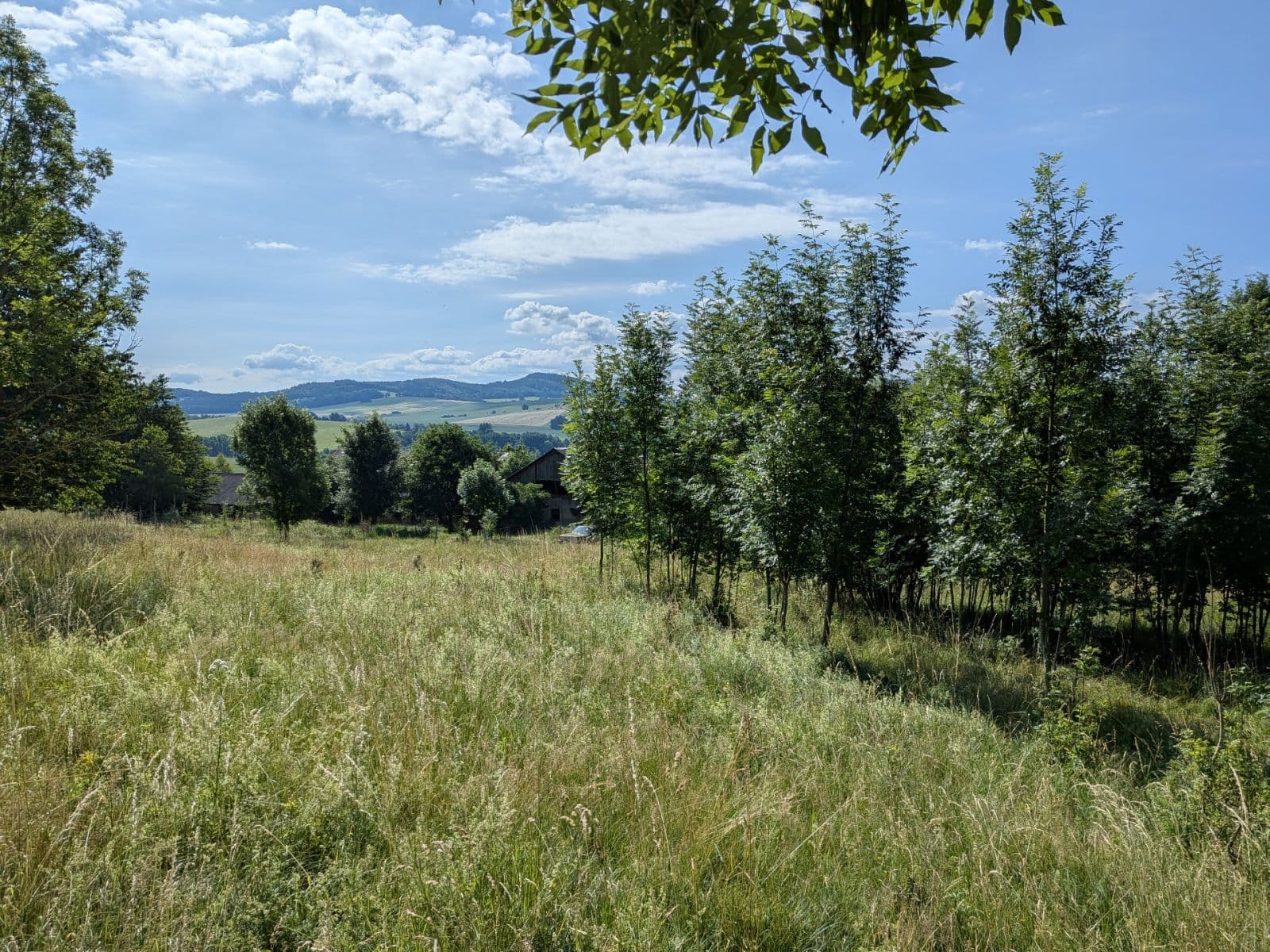 Predaj pozemku 11.768 m², Všeruby, Plzeňský kraj Predaj pozemku 11.768 m², Všeruby, Plzeňský kraj