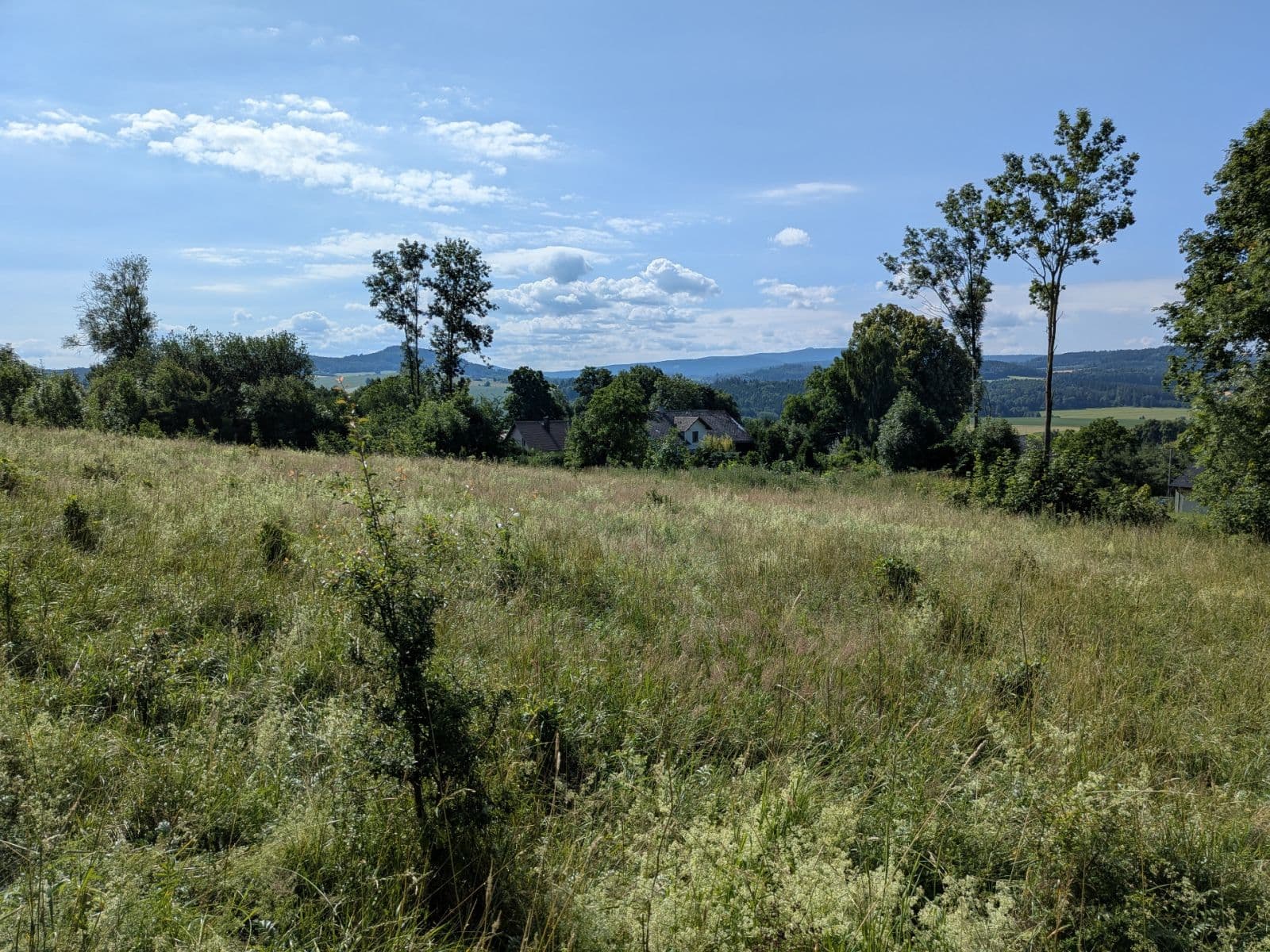 Predaj pozemku 11.768 m², Všeruby, Plzeňský kraj Predaj pozemku 11.768 m², Všeruby, Plzeňský kraj