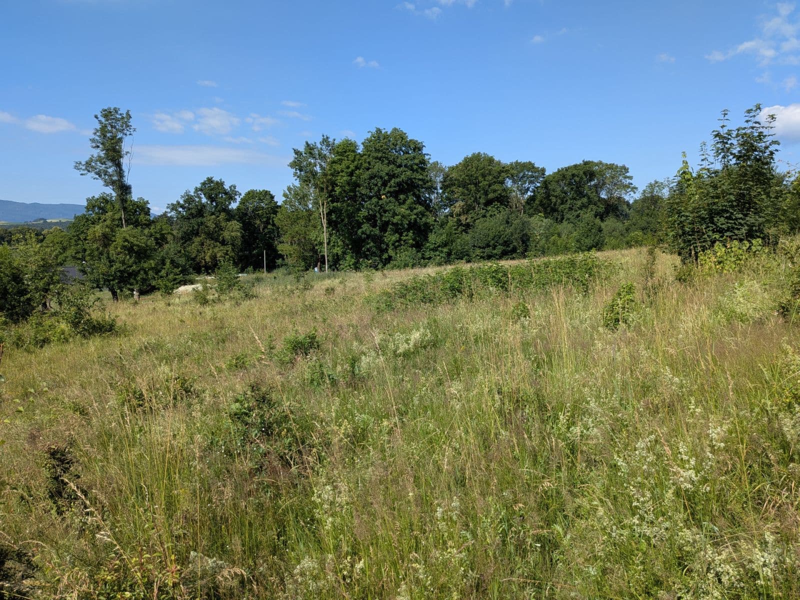 Predaj pozemku 11.768 m², Všeruby, Plzeňský kraj Predaj pozemku 11.768 m², Všeruby, Plzeňský kraj