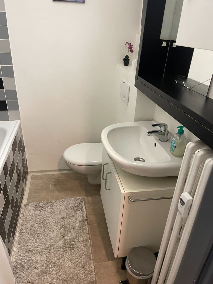 Prenájom bytu 1-izbový 1 m², Dlouhá, Praha, Praha Prenájom bytu 1-izbový 1 m², Dlouhá, Praha, Praha