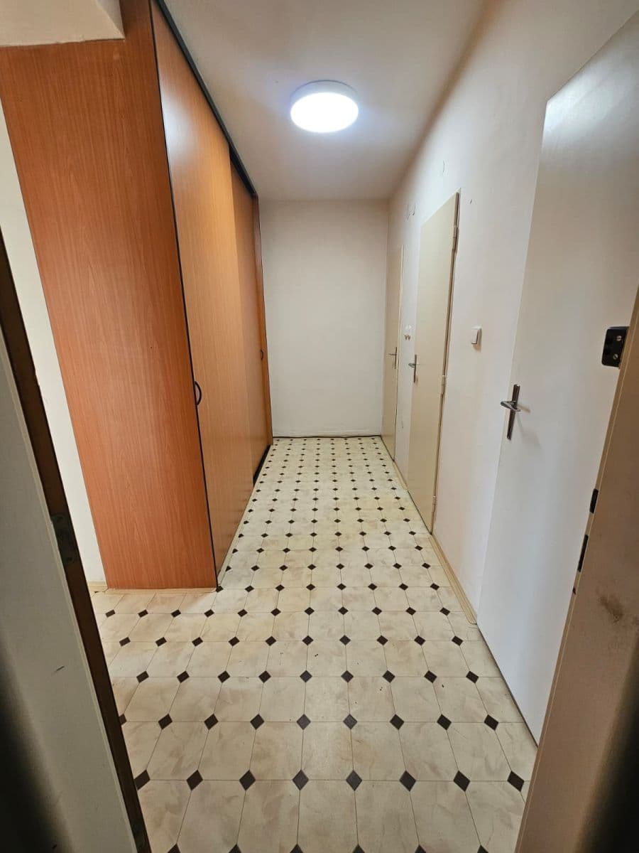 Prenájom bytu 1-izbový 51 m², Šaumannova, Brno, Jihomoravský kraj Prenájom bytu 1-izbový 51 m², Šaumannova, Brno, Jihomoravský kraj