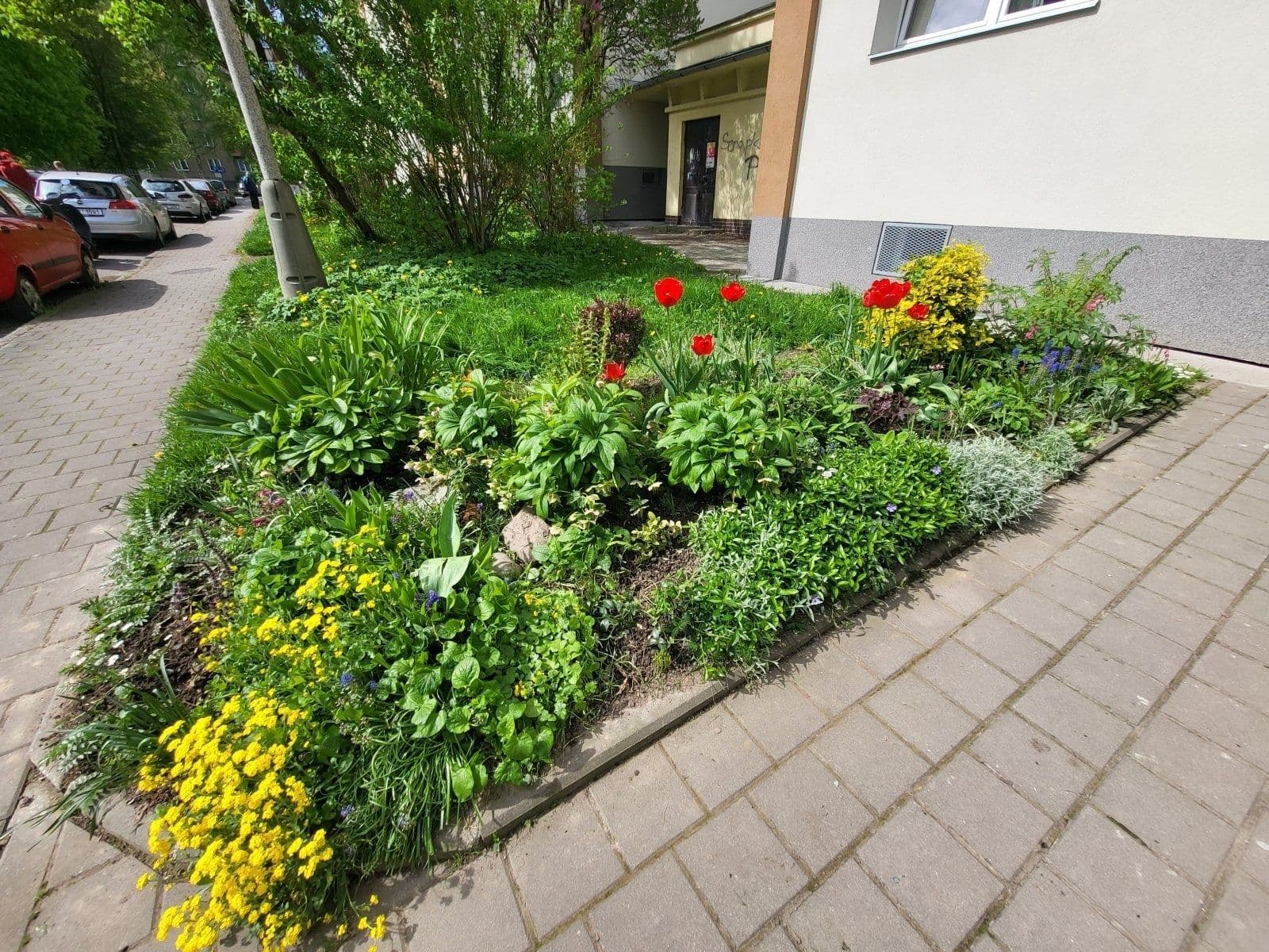 Prenájom bytu 3-izbový 67 m², Edisonova, Havířov, Moravskoslezský kraj Prenájom bytu 3-izbový 67 m², Edisonova, Havířov, Moravskoslezský kraj