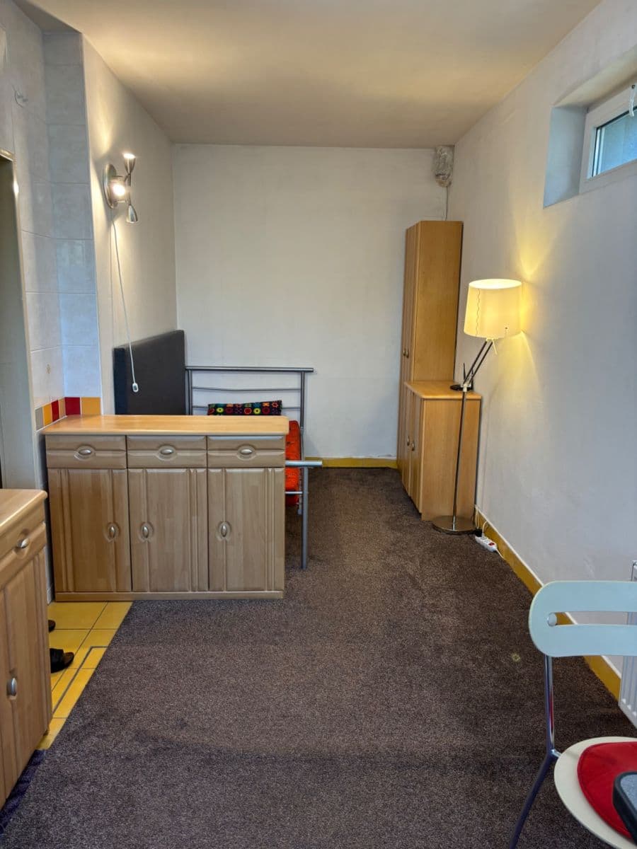 Prenájom bytu 1-izbový 20 m², Roztylské sady, Praha, Praha Prenájom bytu 1-izbový 20 m², Roztylské sady, Praha, Praha