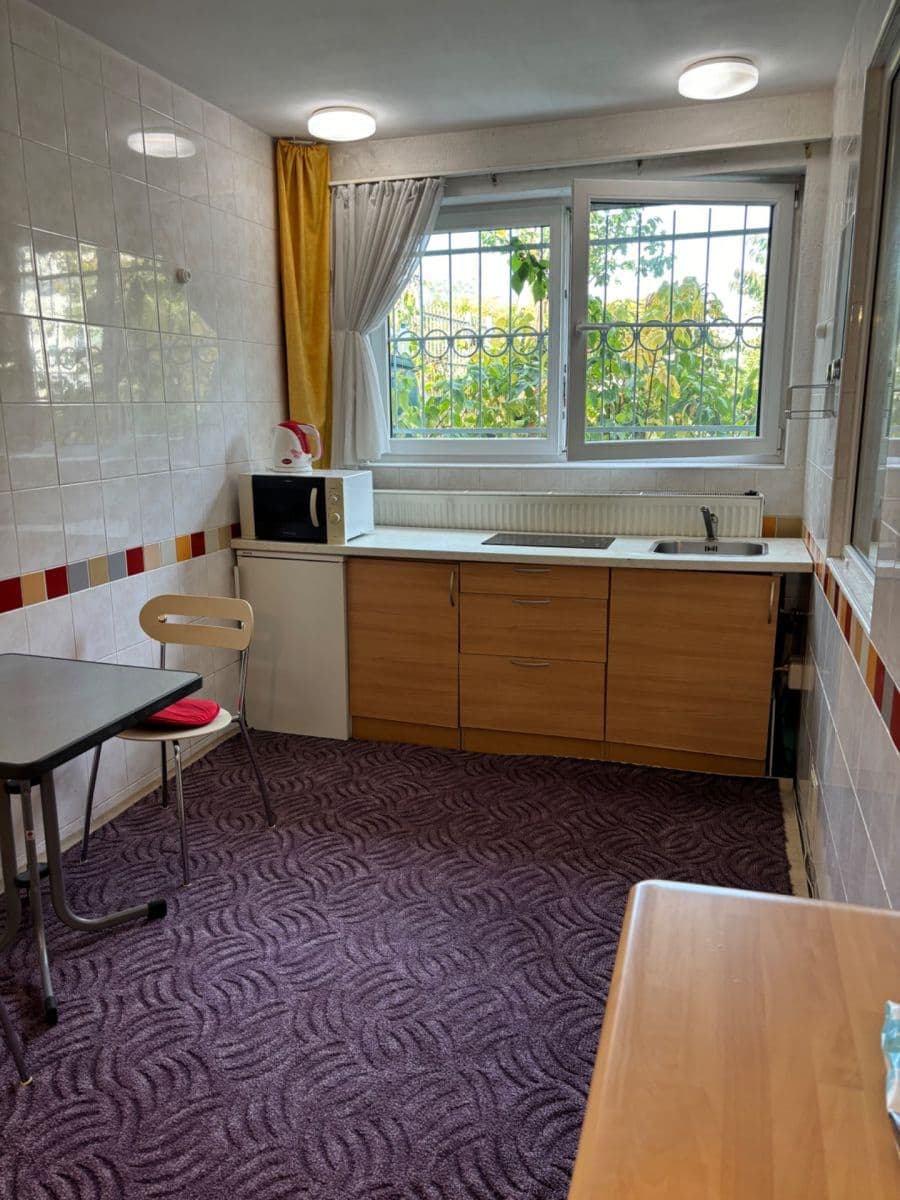 Prenájom bytu 1-izbový 20 m², Roztylské sady, Praha, Praha Prenájom bytu 1-izbový 20 m², Roztylské sady, Praha, Praha