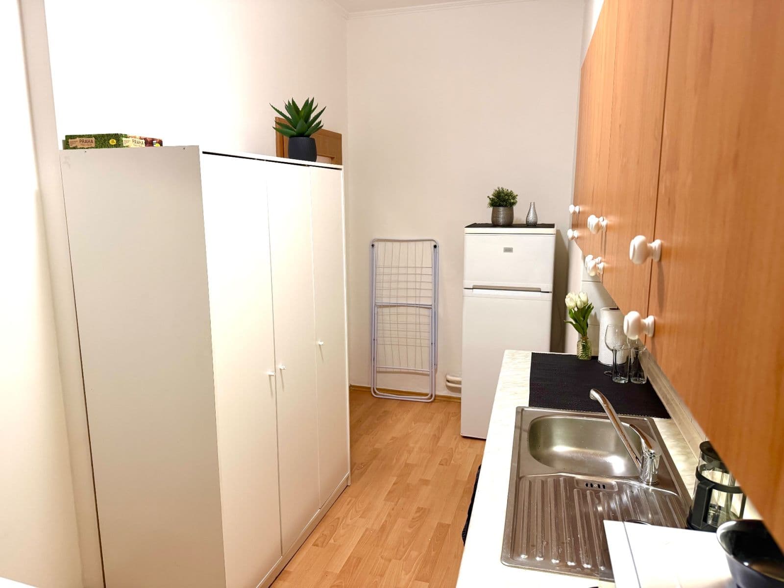 Prenájom bytu 1-izbový 52 m², Tylovo náměstí, Praha, Praha Prenájom bytu 1-izbový 52 m², Tylovo náměstí, Praha, Praha