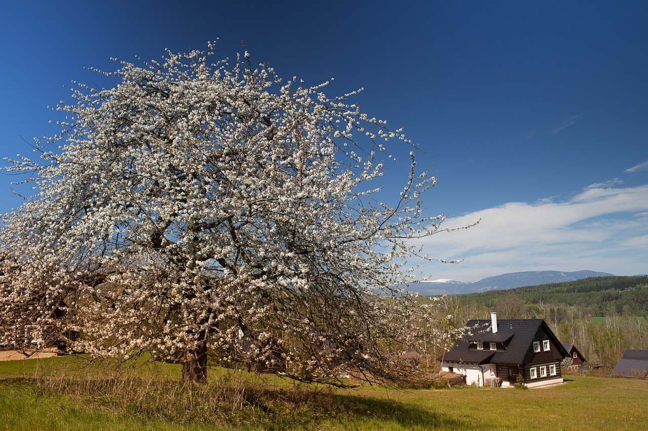 Prenájom rekreačného objektu, Horní Brusnice, Královéhradecký kraj Prenájom rekreačného objektu, Horní Brusnice, Královéhradecký kraj