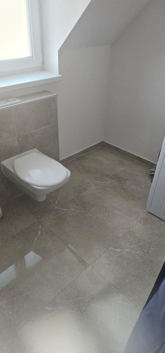 Prenájom bytu Garsoniéra 25 m², Sukova, Velké Přílepy, Středočeský kraj Prenájom bytu Garsoniéra 25 m², Sukova, Velké Přílepy, Středočeský kraj