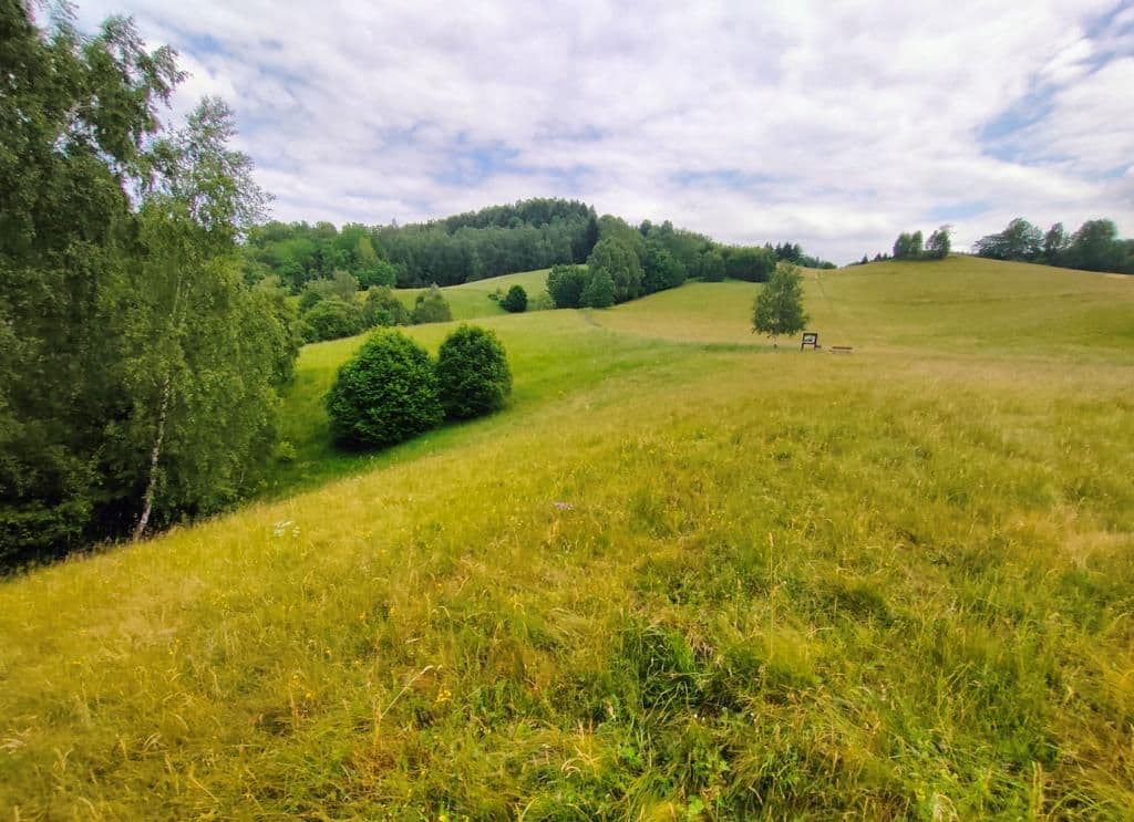 Predaj pozemku 2.377 m², Pustinská, Desná, Liberecký kraj Predaj pozemku 2.377 m², Pustinská, Desná, Liberecký kraj