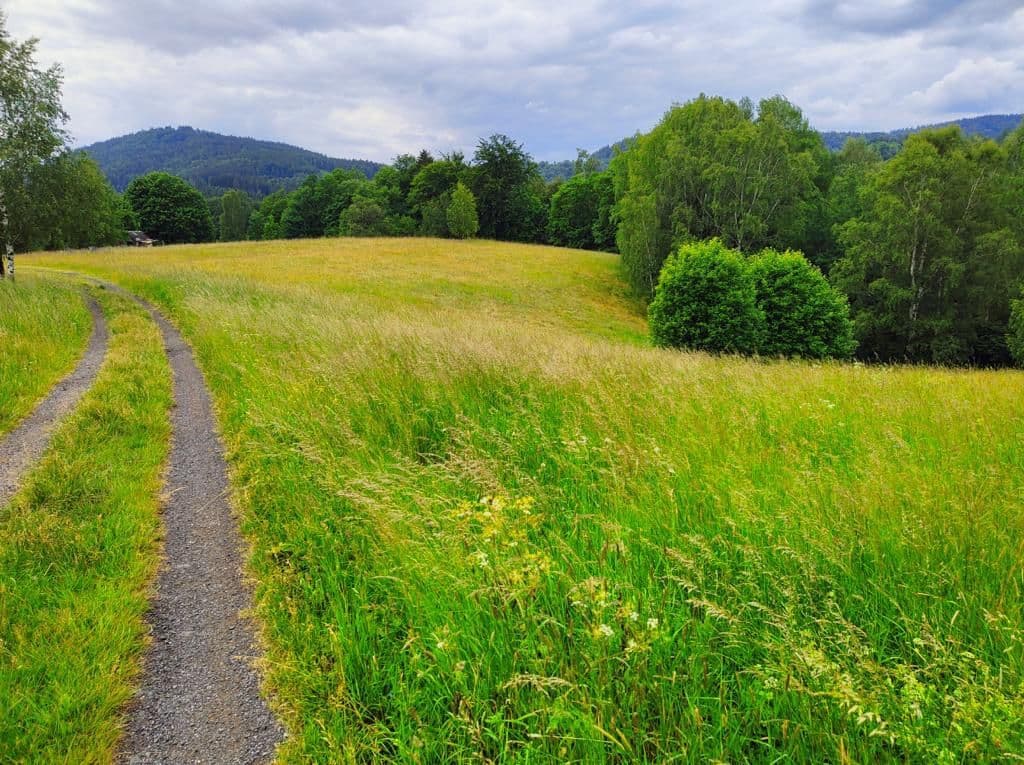 Predaj pozemku 2.377 m², Pustinská, Desná, Liberecký kraj Predaj pozemku 2.377 m², Pustinská, Desná, Liberecký kraj