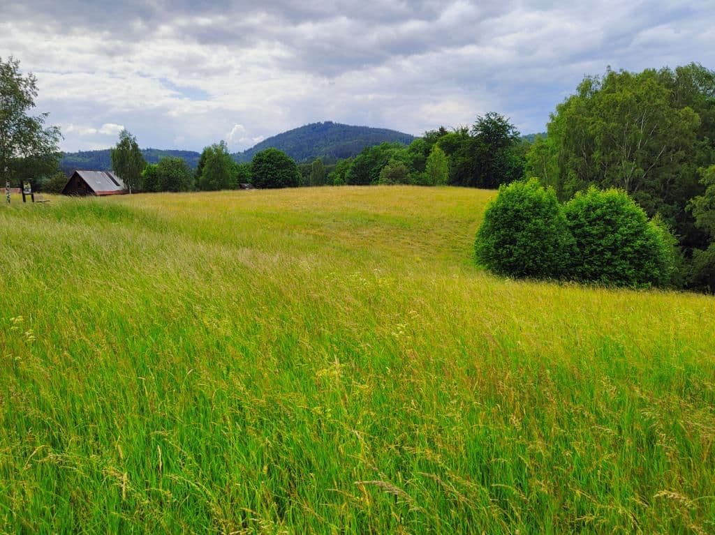 Predaj pozemku 2.377 m², Pustinská, Desná, Liberecký kraj Predaj pozemku 2.377 m², Pustinská, Desná, Liberecký kraj