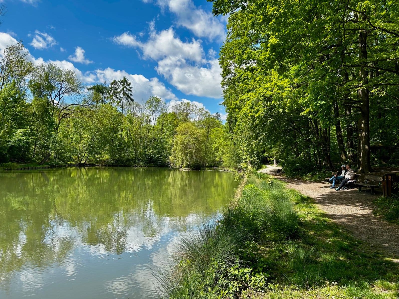 Prenájom bytu 3-izbový 68 m², V Bažantnici, Kladno, Středočeský kraj Prenájom bytu 3-izbový 68 m², V Bažantnici, Kladno, Středočeský kraj
