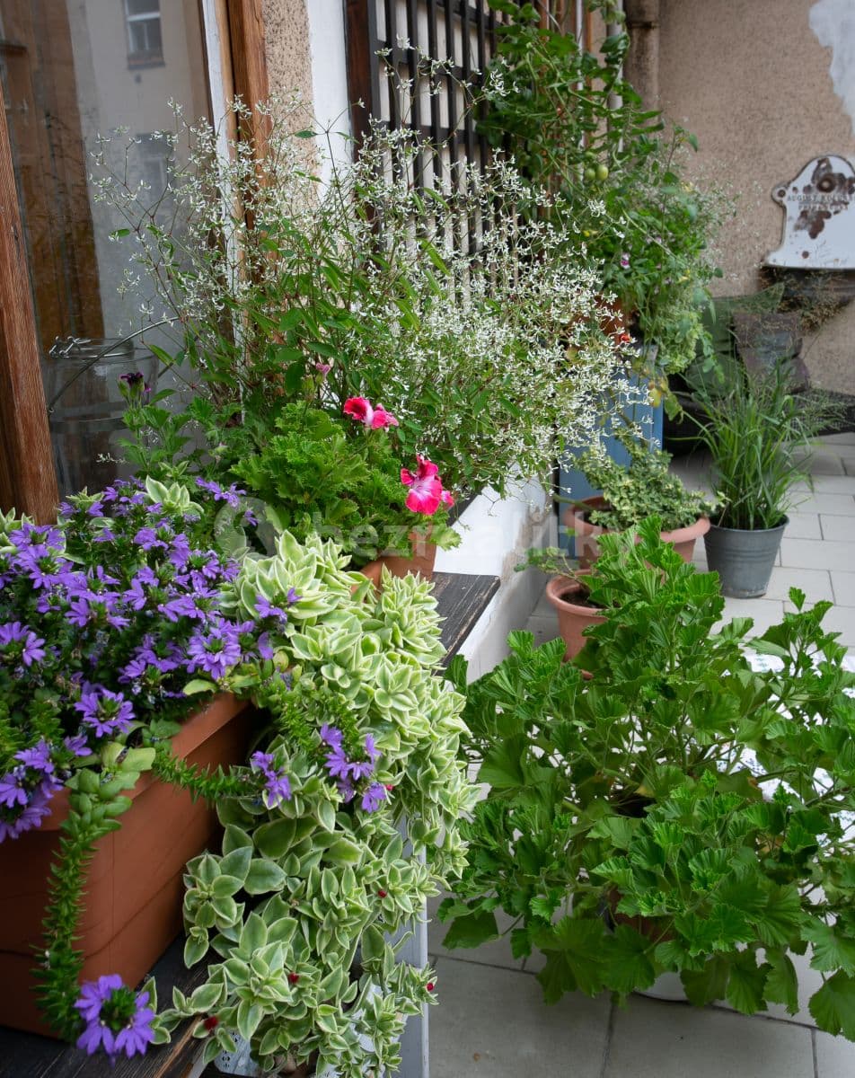 Prenájom bytu 2-izbový 71 m², Letohradská, Praha, Praha Prenájom bytu 2-izbový 71 m², Letohradská, Praha, Praha