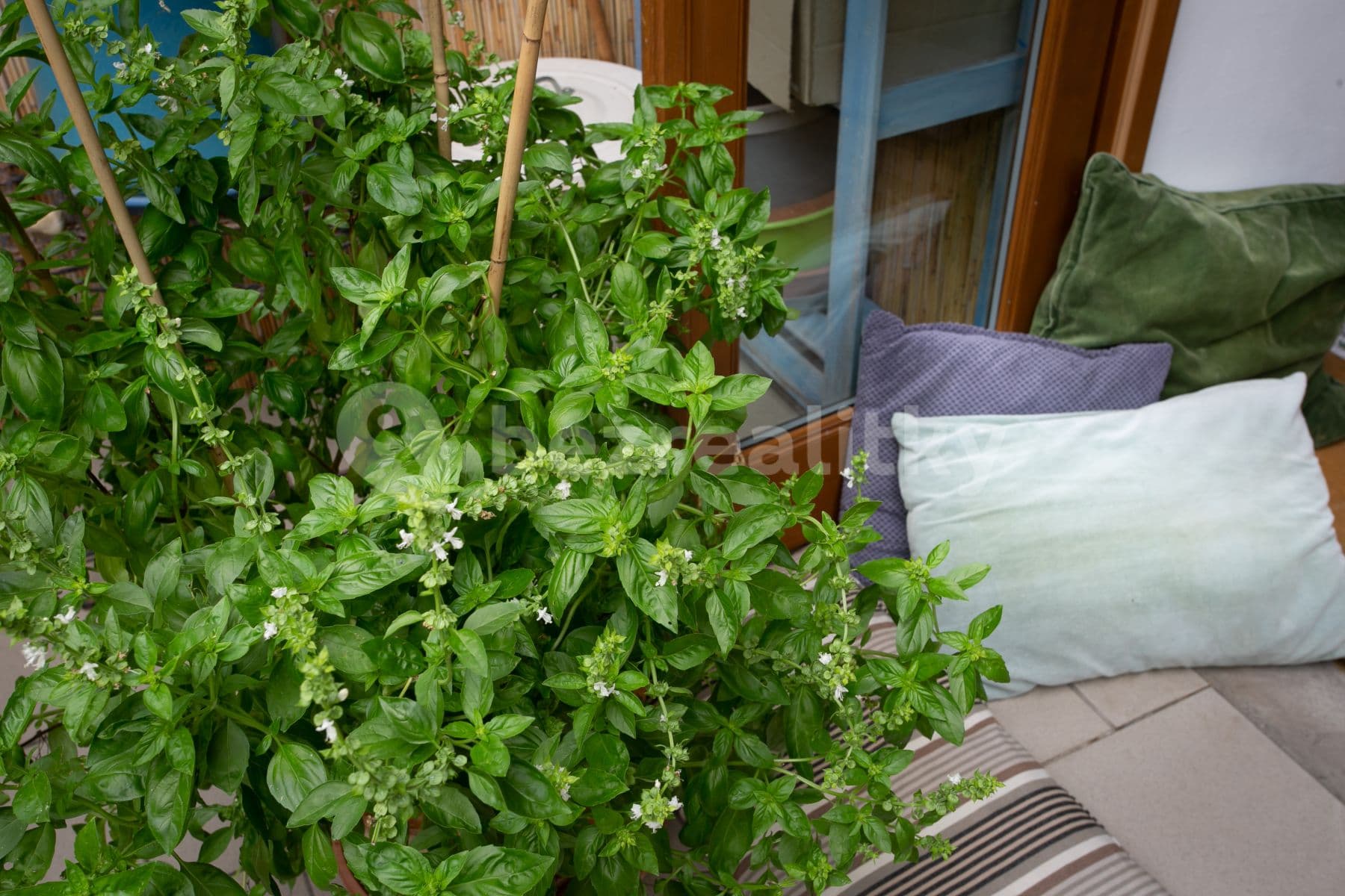 Prenájom bytu 2-izbový 71 m², Letohradská, Praha, Praha Prenájom bytu 2-izbový 71 m², Letohradská, Praha, Praha