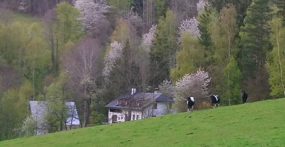 Prenájom rekreačného objektu, Kašperské Hory, Plzeňský kraj Prenájom rekreačného objektu, Kašperské Hory, Plzeňský kraj