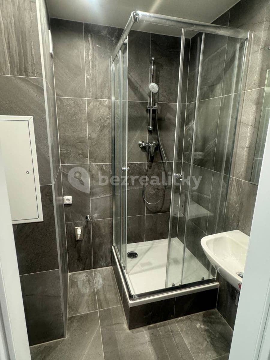Prenájom bytu 1-izbový 29 m², Voskovcova, Praha, Praha Prenájom bytu 1-izbový 29 m², Voskovcova, Praha, Praha