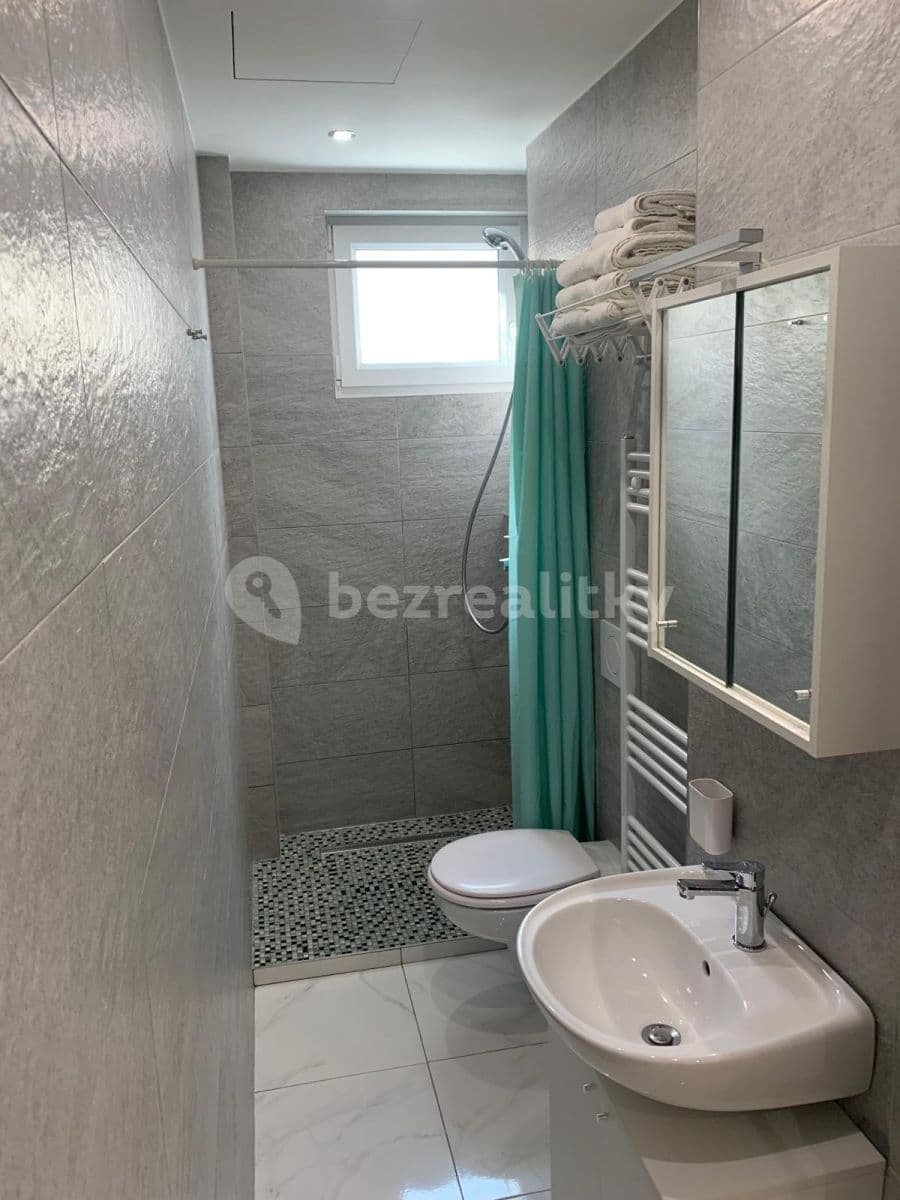 Prenájom bytu 2-izbový 41 m², Svojsíkova, Praha, Praha Prenájom bytu 2-izbový 41 m², Svojsíkova, Praha, Praha