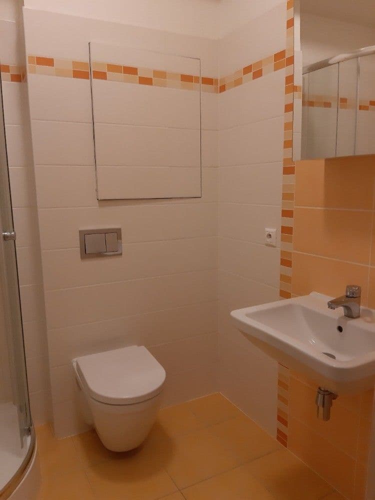 Prenájom bytu 1-izbový 33 m², Freyova, Praha, Praha Prenájom bytu 1-izbový 33 m², Freyova, Praha, Praha