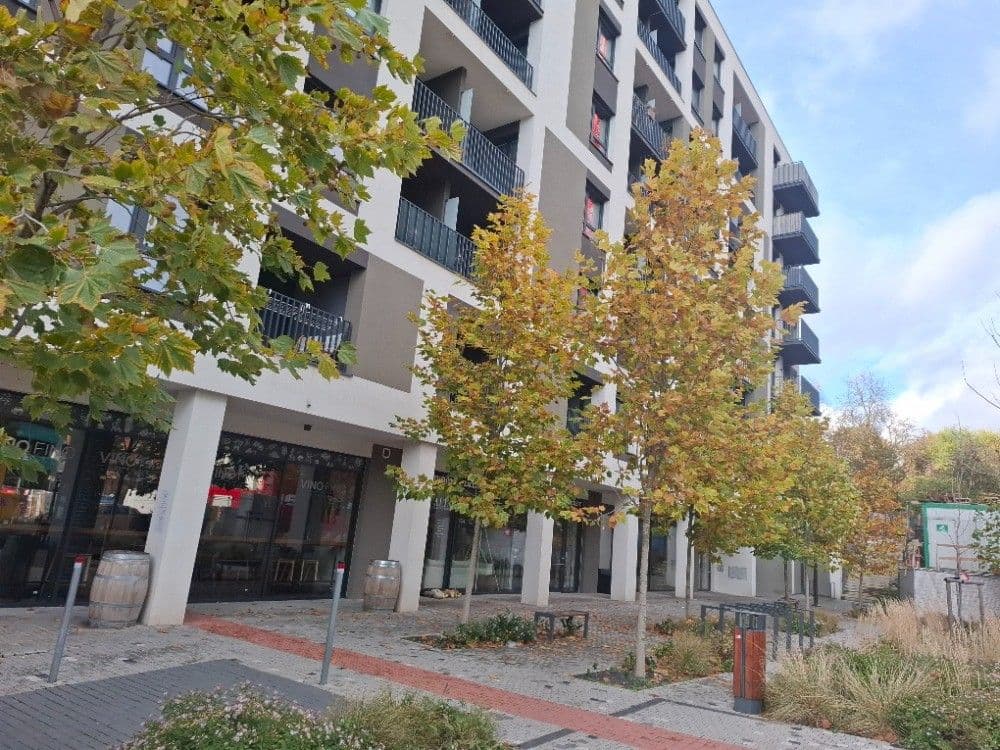 Prenájom bytu 3-izbový 77 m², Olgy Havlové, Praha, Praha Prenájom bytu 3-izbový 77 m², Olgy Havlové, Praha, Praha