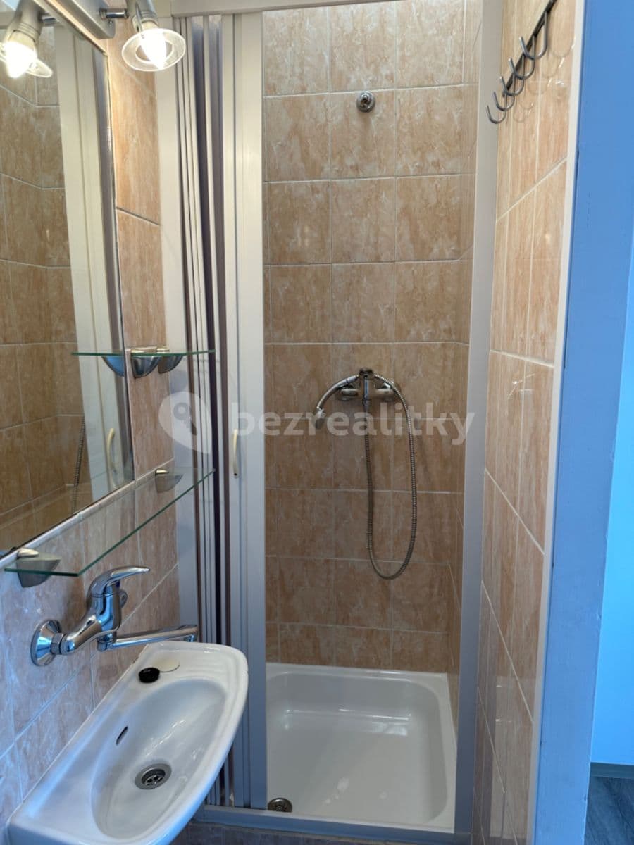 Prenájom bytu 1-izbový 15 m², Náplavka, Brno, Jihomoravský kraj Prenájom bytu 1-izbový 15 m², Náplavka, Brno, Jihomoravský kraj
