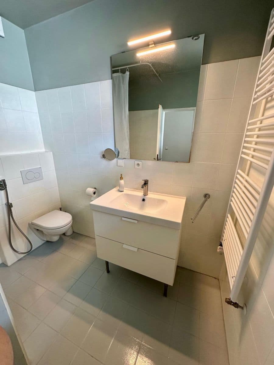 Prenájom bytu 1-izbový 62 m², Novobohdalecká, Praha, Praha Prenájom bytu 1-izbový 62 m², Novobohdalecká, Praha, Praha