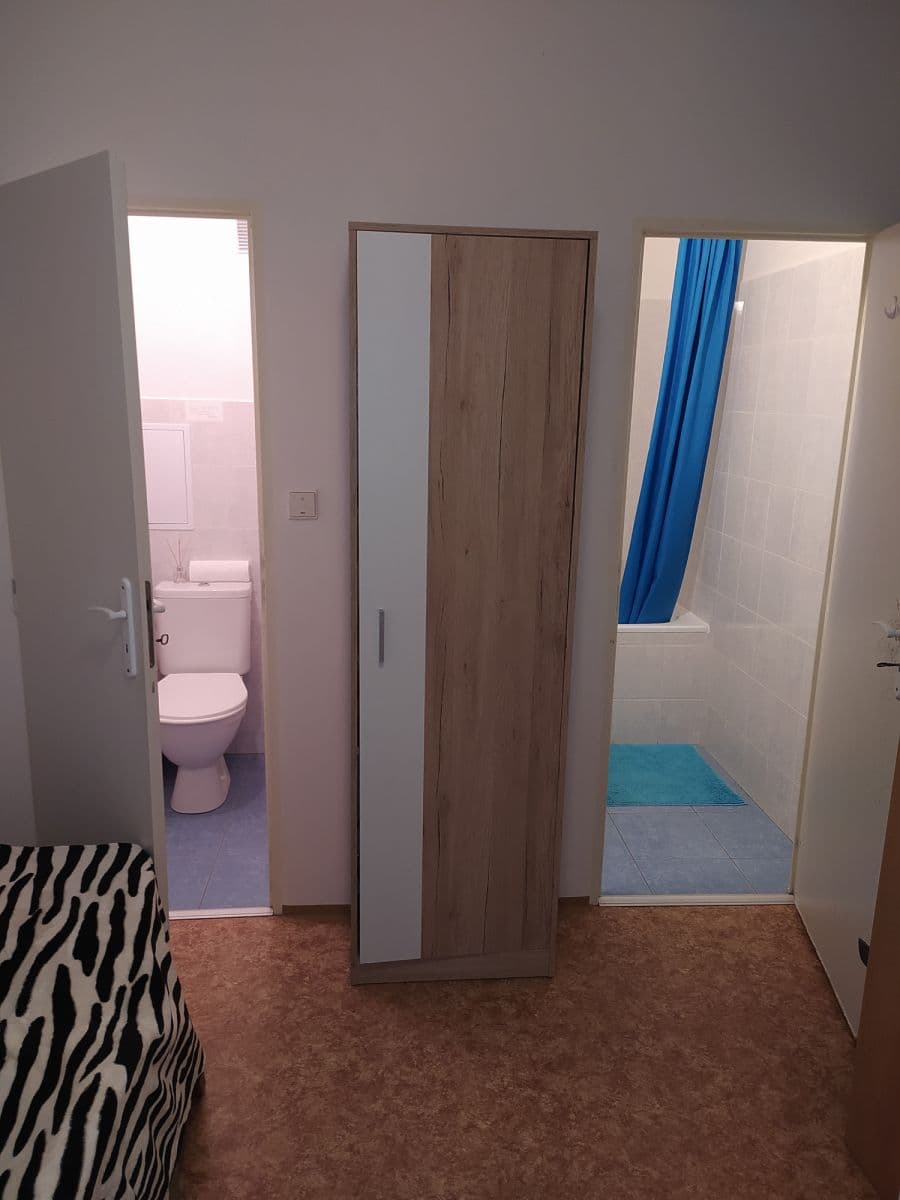 Prenájom bytu 80 m², Voskovcova, Praha, Praha Prenájom bytu 80 m², Voskovcova, Praha, Praha