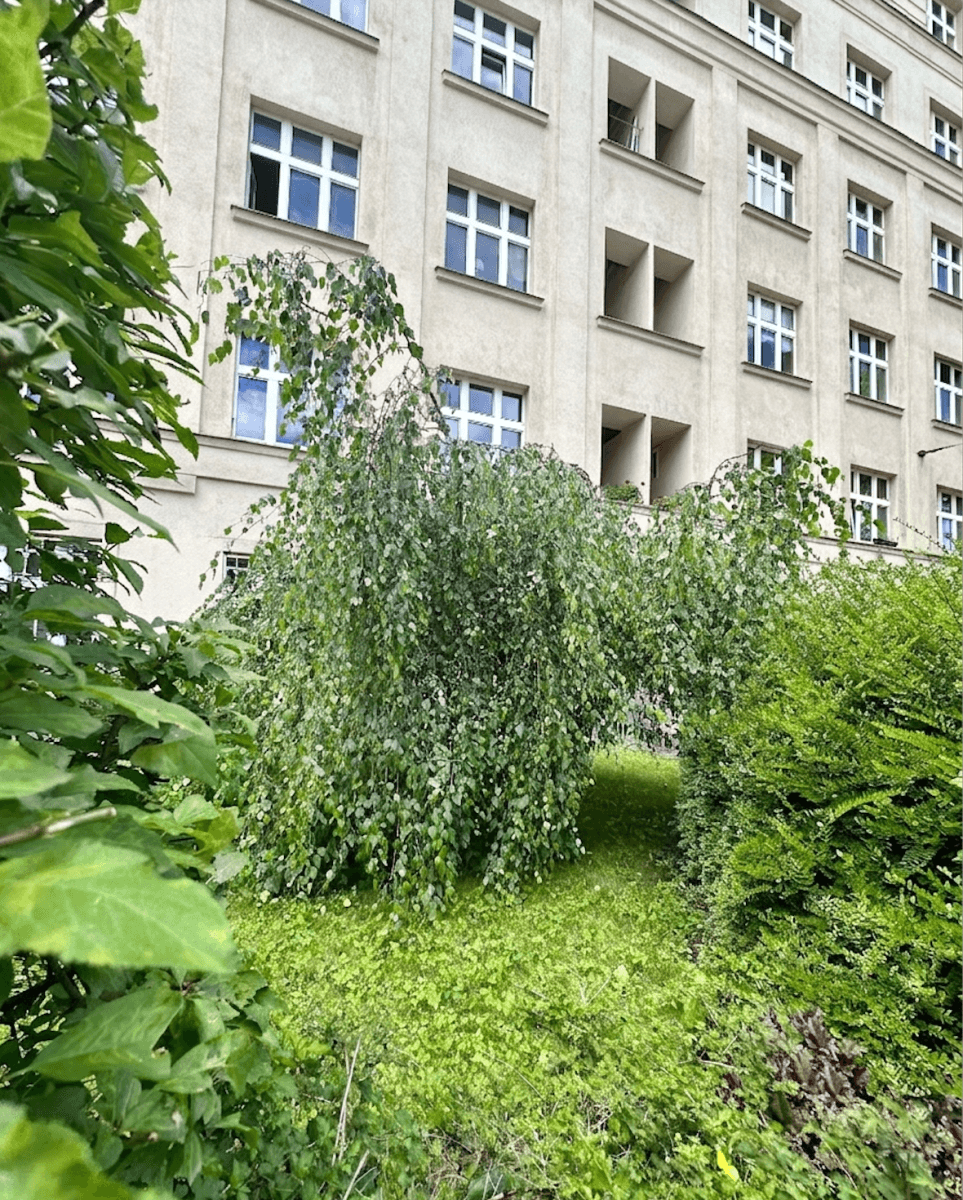 Prenájom bytu 2-izbový 48 m², Jičínská, Praha, Praha Prenájom bytu 2-izbový 48 m², Jičínská, Praha, Praha