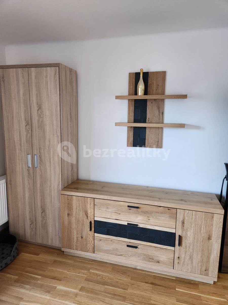 Prenájom bytu 1-izbový 28 m², Podolská, Praha, Praha Prenájom bytu 1-izbový 28 m², Podolská, Praha, Praha