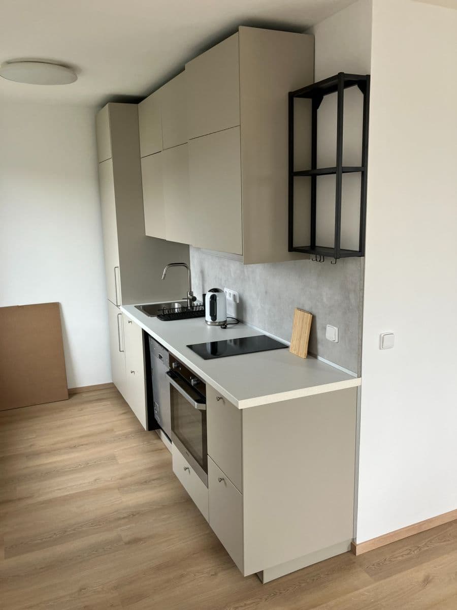 Prenájom bytu 2-izbový 50 m², Kubíkova, Praha, Praha Prenájom bytu 2-izbový 50 m², Kubíkova, Praha, Praha