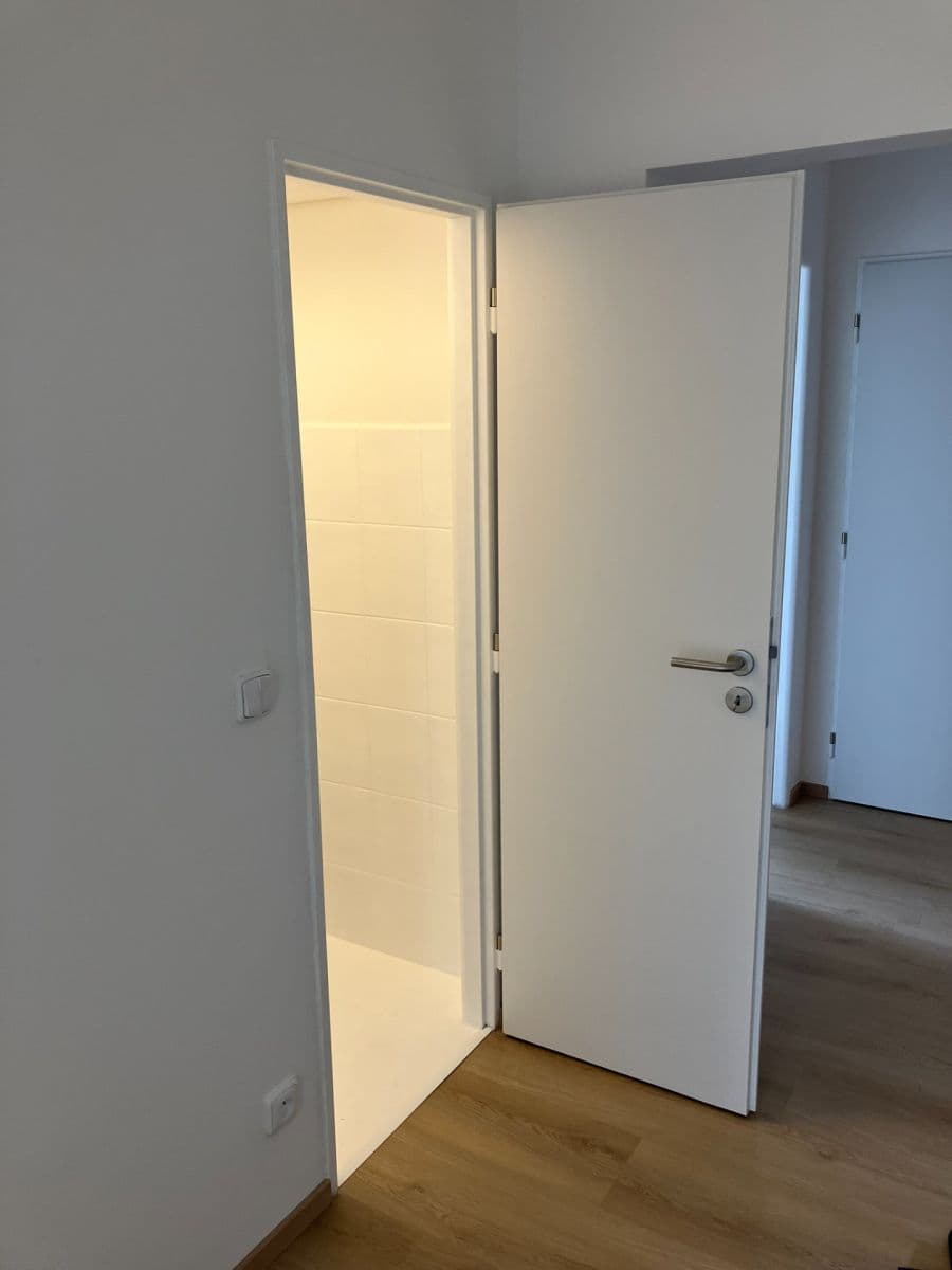 Prenájom bytu 2-izbový 50 m², Kubíkova, Praha, Praha Prenájom bytu 2-izbový 50 m², Kubíkova, Praha, Praha
