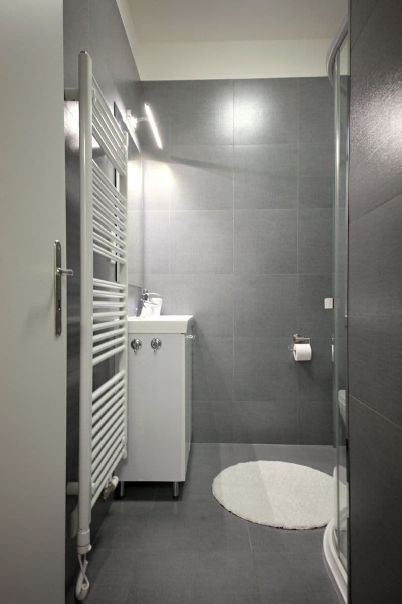 Prenájom bytu 56 m², Slovinská, Praha, Praha Prenájom bytu 56 m², Slovinská, Praha, Praha