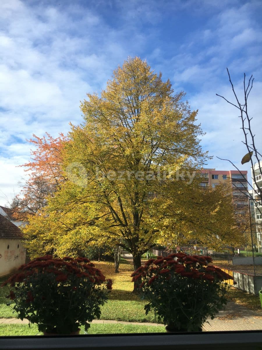 Prenájom bytu 1-izbový 38 m², Na Hranicích, Praha, Praha Prenájom bytu 1-izbový 38 m², Na Hranicích, Praha, Praha