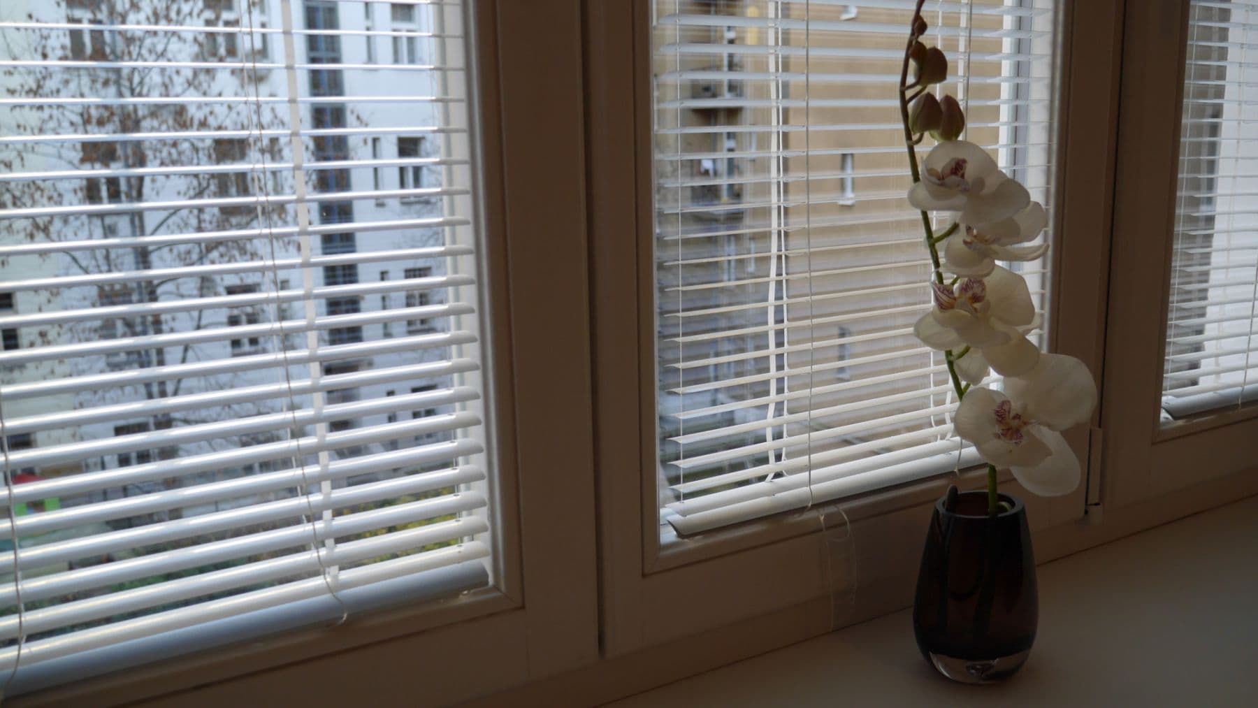 Prenájom bytu 45 m², Sportovní, Praha, Praha Prenájom bytu 45 m², Sportovní, Praha, Praha