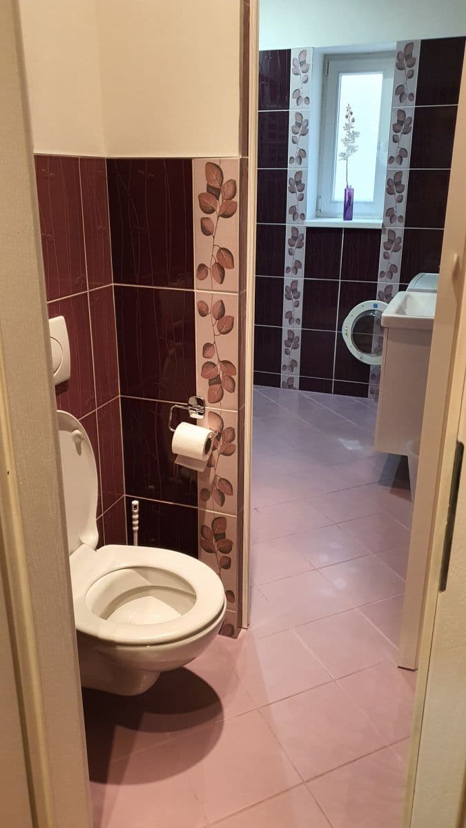 Prenájom bytu 45 m², Sportovní, Praha, Praha Prenájom bytu 45 m², Sportovní, Praha, Praha