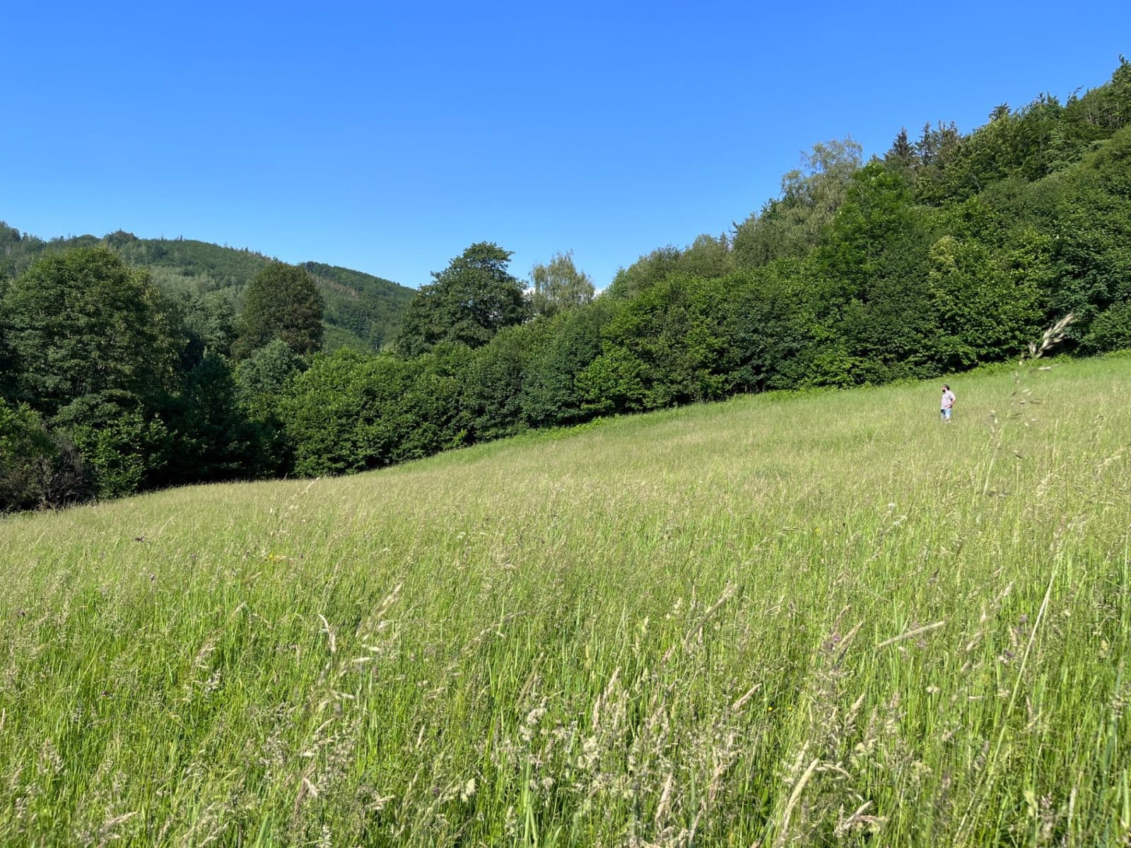 Predaj pozemku 10.000 m², Bystřice, Moravskoslezský kraj Predaj pozemku 10.000 m², Bystřice, Moravskoslezský kraj