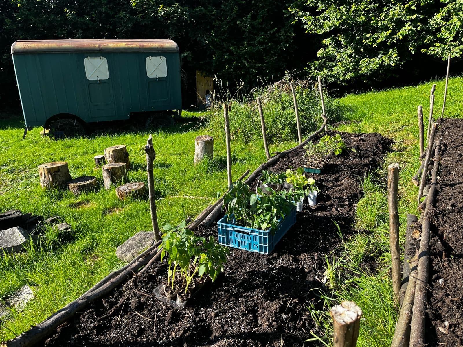 Predaj pozemku 10.000 m², Bystřice, Moravskoslezský kraj Predaj pozemku 10.000 m², Bystřice, Moravskoslezský kraj