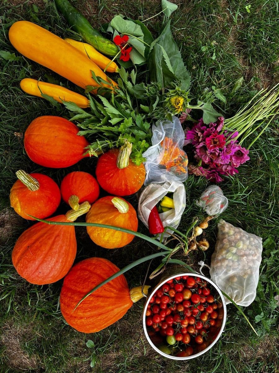 Predaj pozemku 10.000 m², Bystřice, Moravskoslezský kraj Predaj pozemku 10.000 m², Bystřice, Moravskoslezský kraj