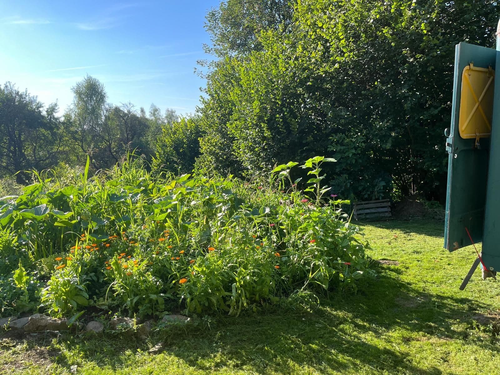 Predaj pozemku 10.000 m², Bystřice, Moravskoslezský kraj Predaj pozemku 10.000 m², Bystřice, Moravskoslezský kraj