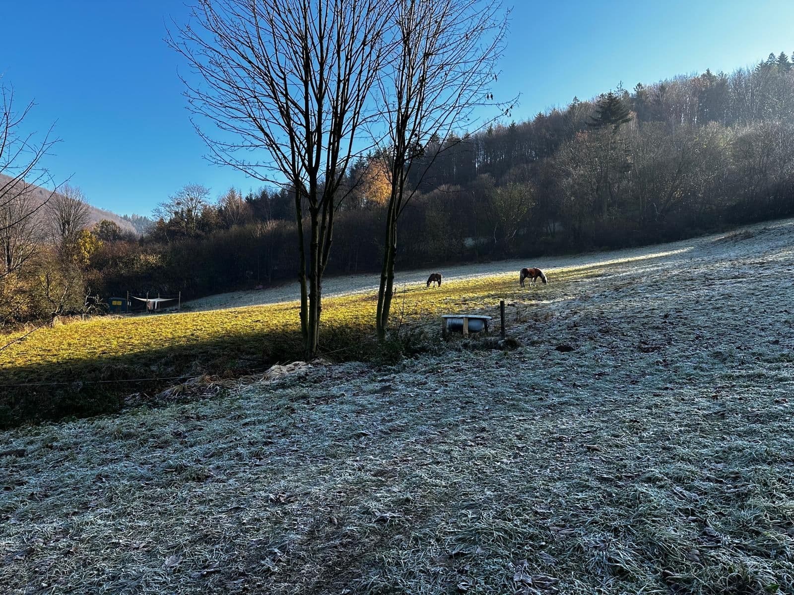 Predaj pozemku 10.000 m², Bystřice, Moravskoslezský kraj Predaj pozemku 10.000 m², Bystřice, Moravskoslezský kraj