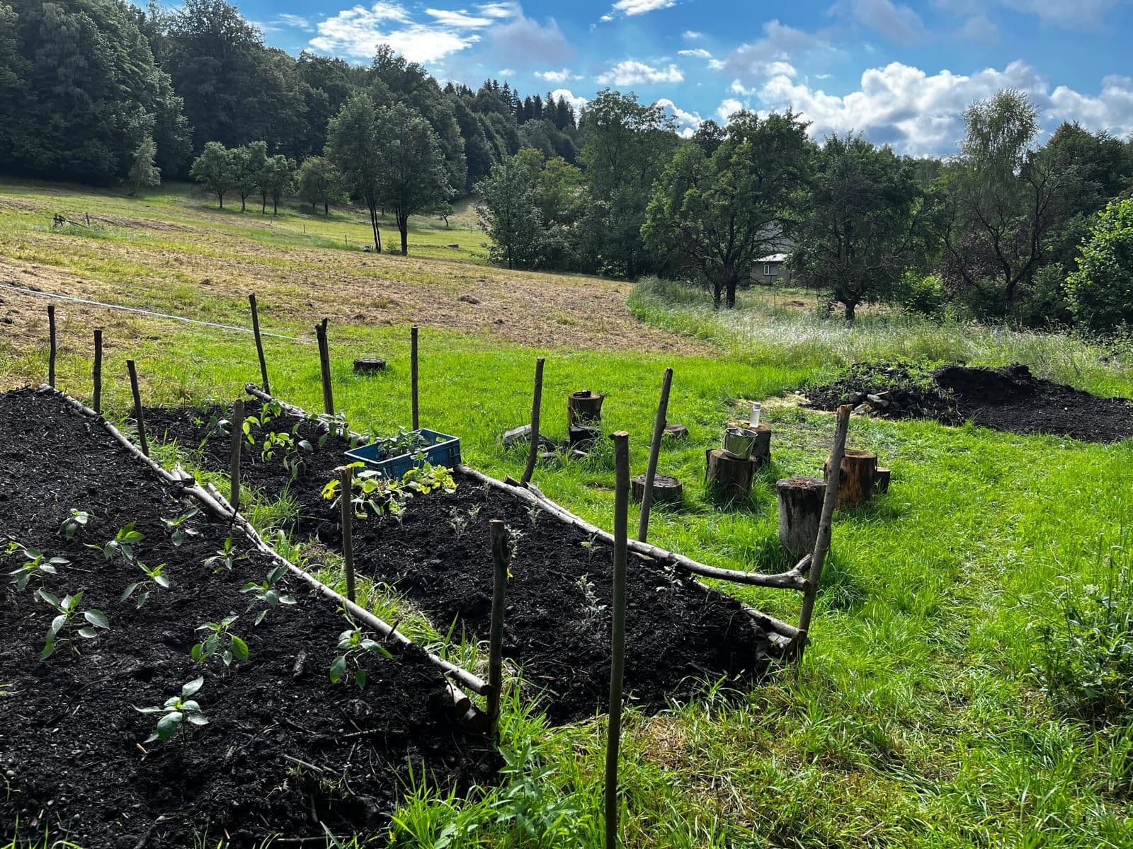 Predaj pozemku 10.000 m², Bystřice, Moravskoslezský kraj Predaj pozemku 10.000 m², Bystřice, Moravskoslezský kraj