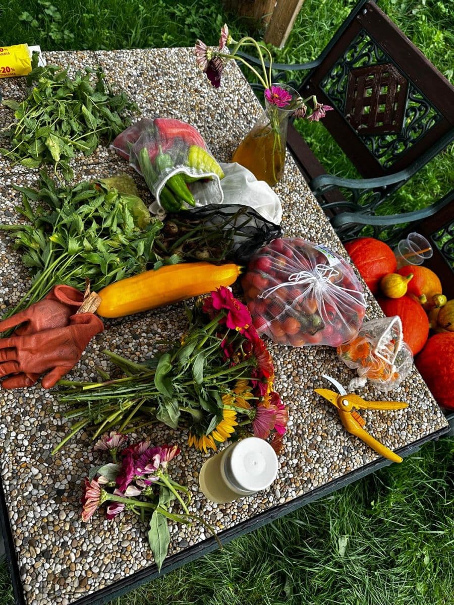 Predaj pozemku 10.000 m², Bystřice, Moravskoslezský kraj Predaj pozemku 10.000 m², Bystřice, Moravskoslezský kraj