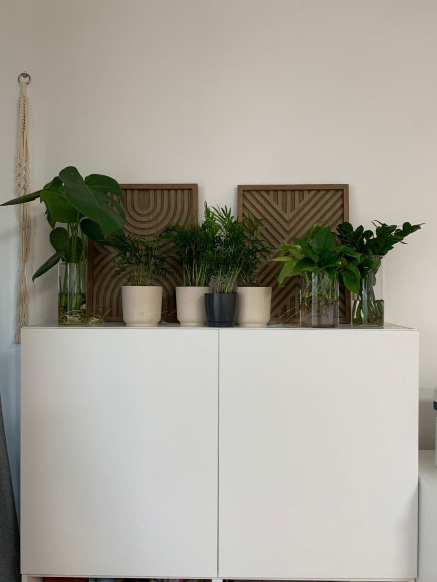 Prenájom bytu Garsoniéra 36 m², Mickiewiczova, Bratislava - mestská časť Staré Mesto, Bratislavský kraj Prenájom bytu Garsoniéra 36 m², Mickiewiczova, Bratislava - mestská časť Staré Mesto, Bratislavský kraj