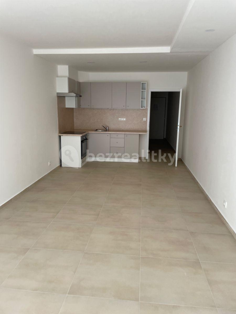 Prenájom bytu 1-izbový 39 m², Spolková, Brno, Jihomoravský kraj
