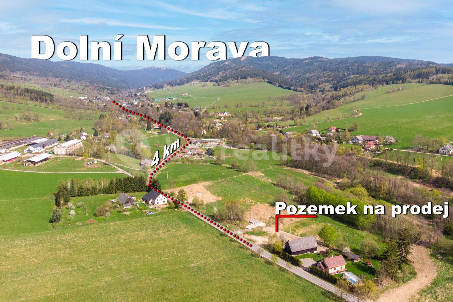 Predaj pozemku 7.544 m², Dolní Morava, Pardubický kraj