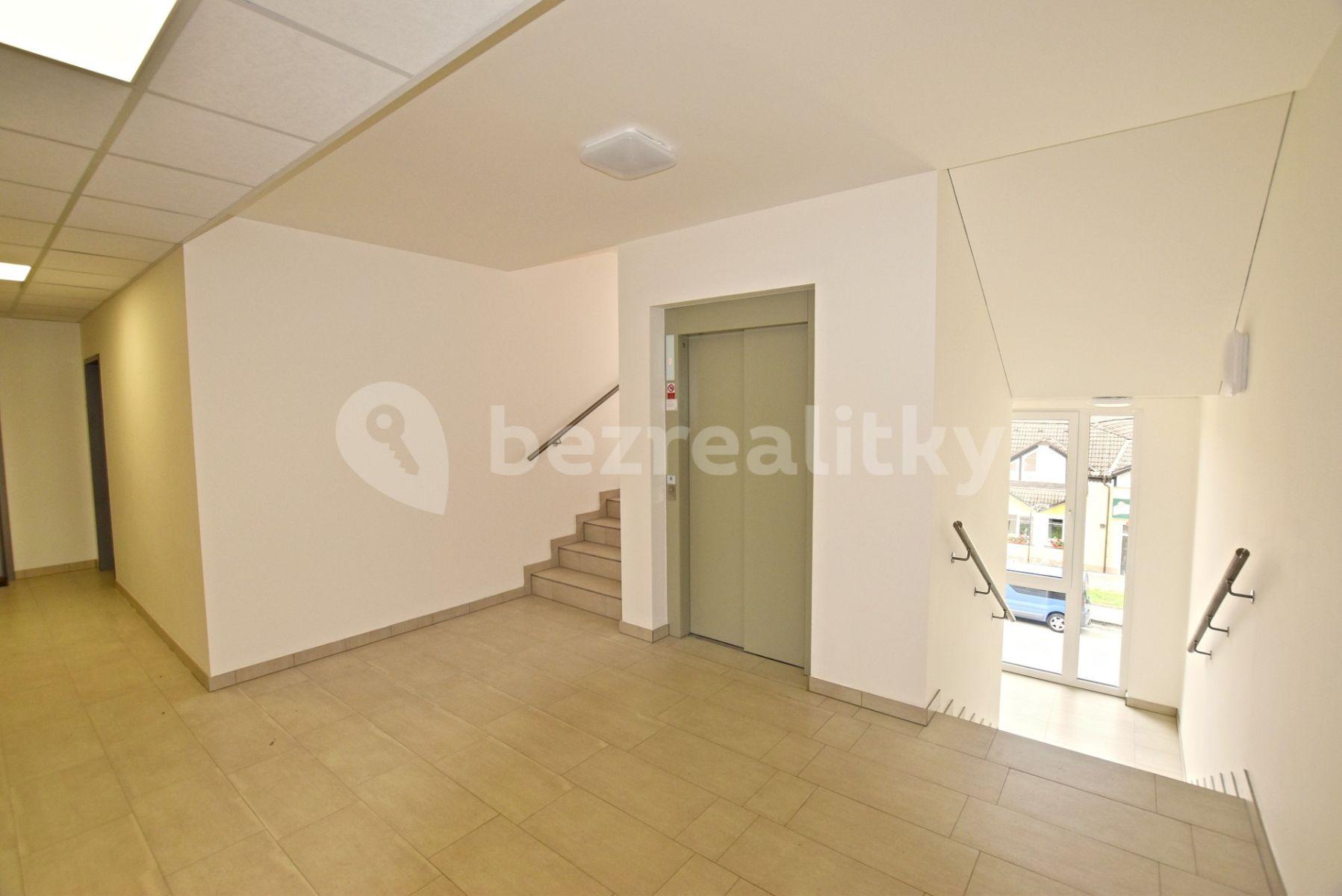 Prenájom bytu 1-izbový 35 m², Novohradská, České Budějovice, Jihočeský kraj