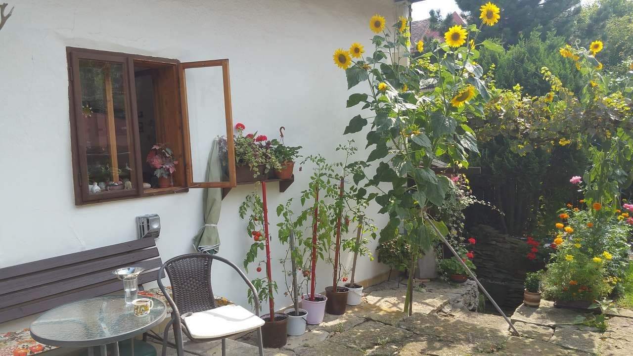 Prenájom rekreačného objektu, Opočno, Královéhradecký kraj Prenájom rekreačného objektu, Opočno, Královéhradecký kraj