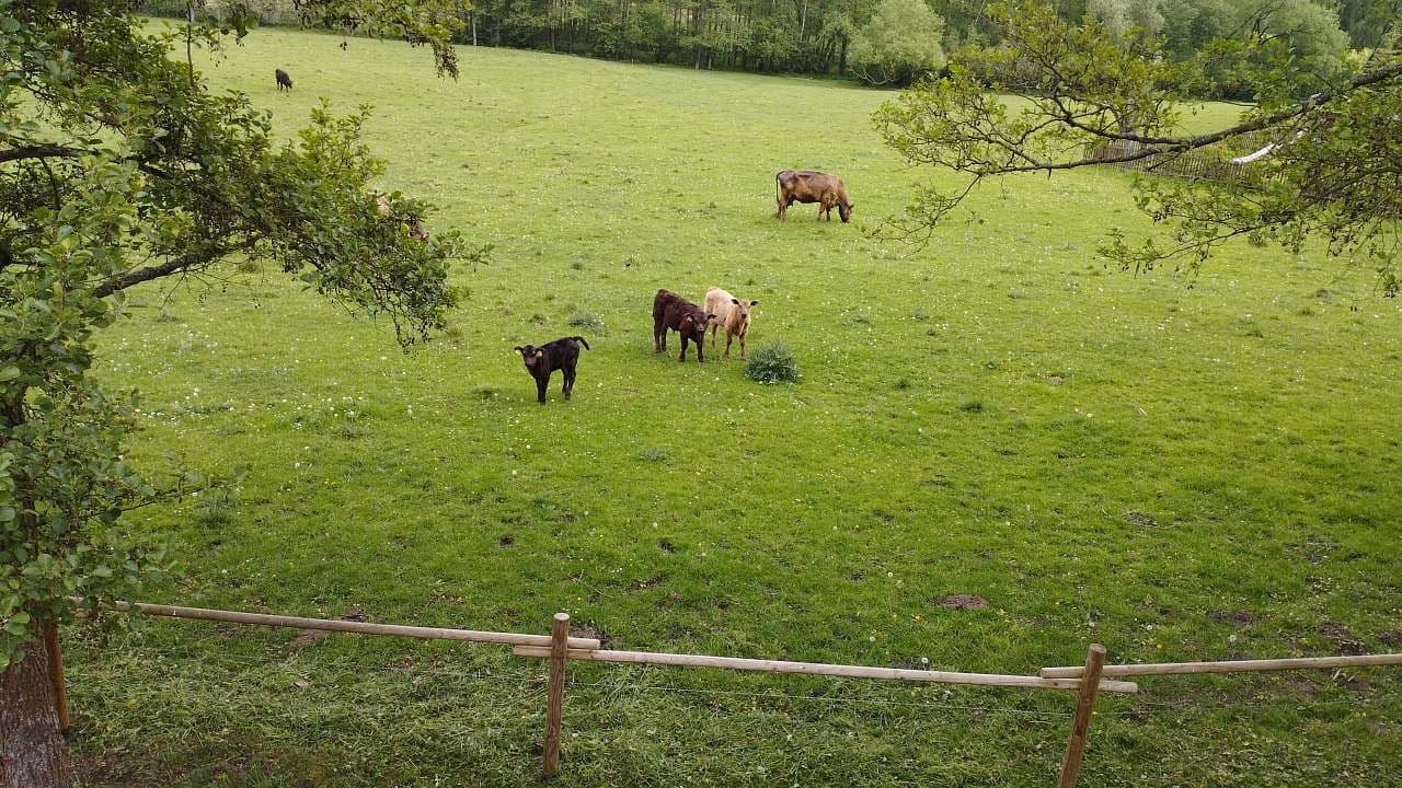 Prenájom rekreačného objektu, Libuň, Královéhradecký kraj Prenájom rekreačného objektu, Libuň, Královéhradecký kraj