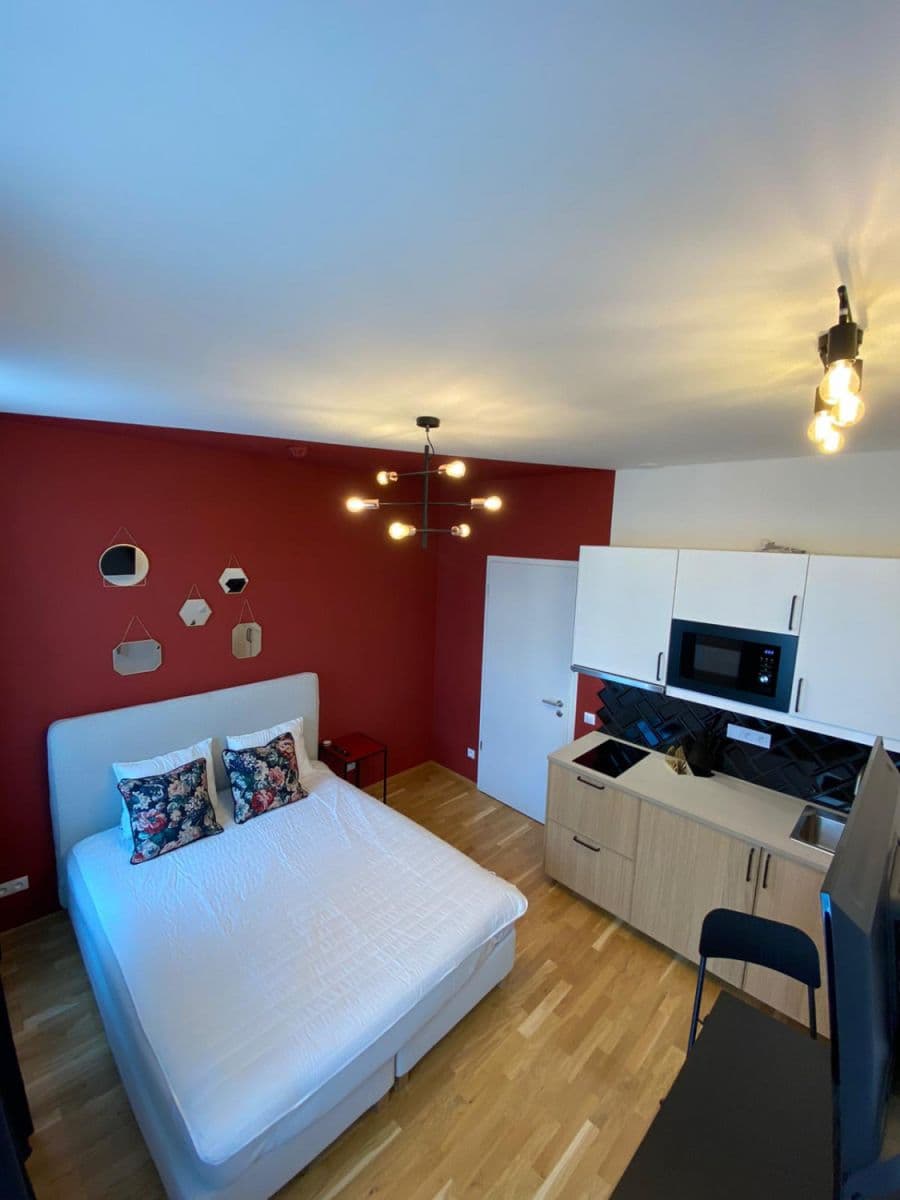 Prenájom bytu 24 m², Tyršova, Praha, Praha Prenájom bytu 24 m², Tyršova, Praha, Praha