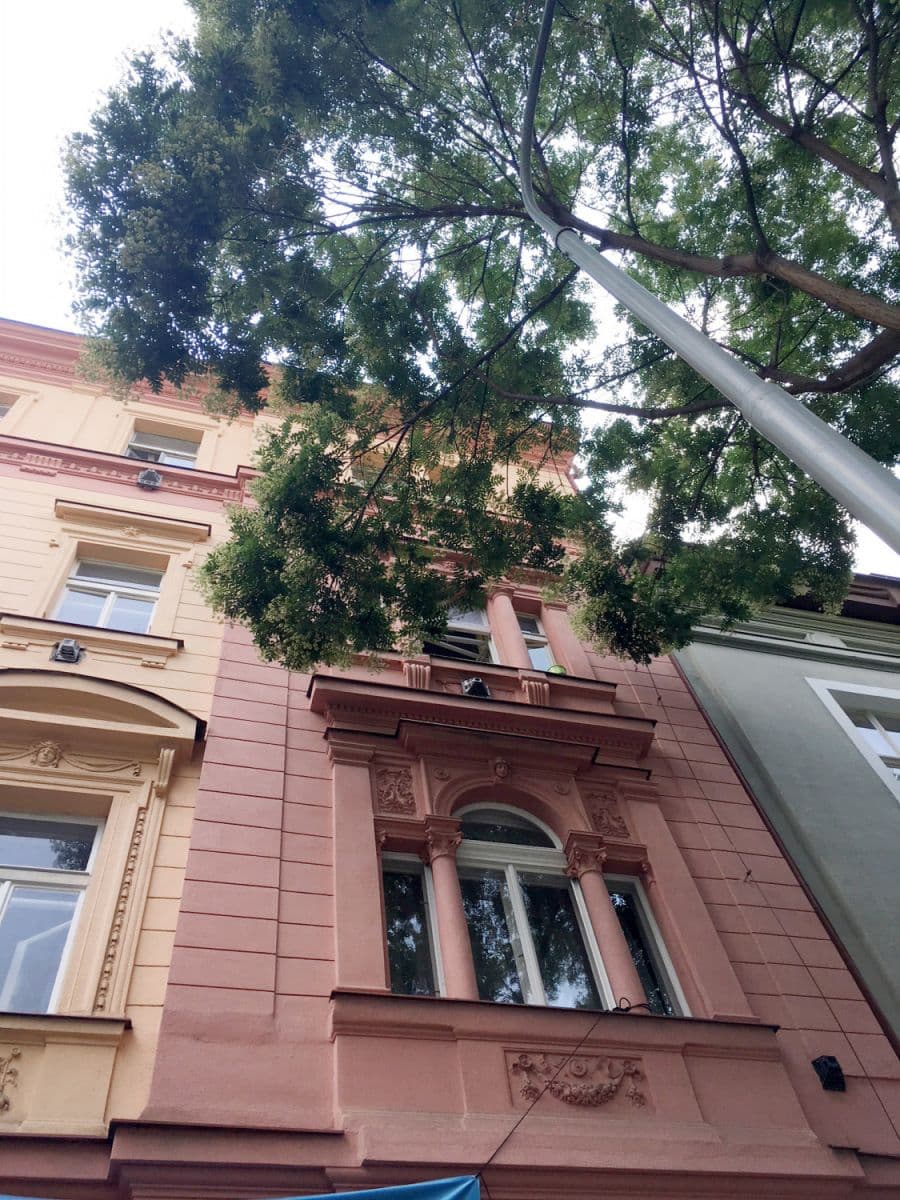 Prenájom bytu 33 m², Pernerova, Praha, Praha Prenájom bytu 33 m², Pernerova, Praha, Praha