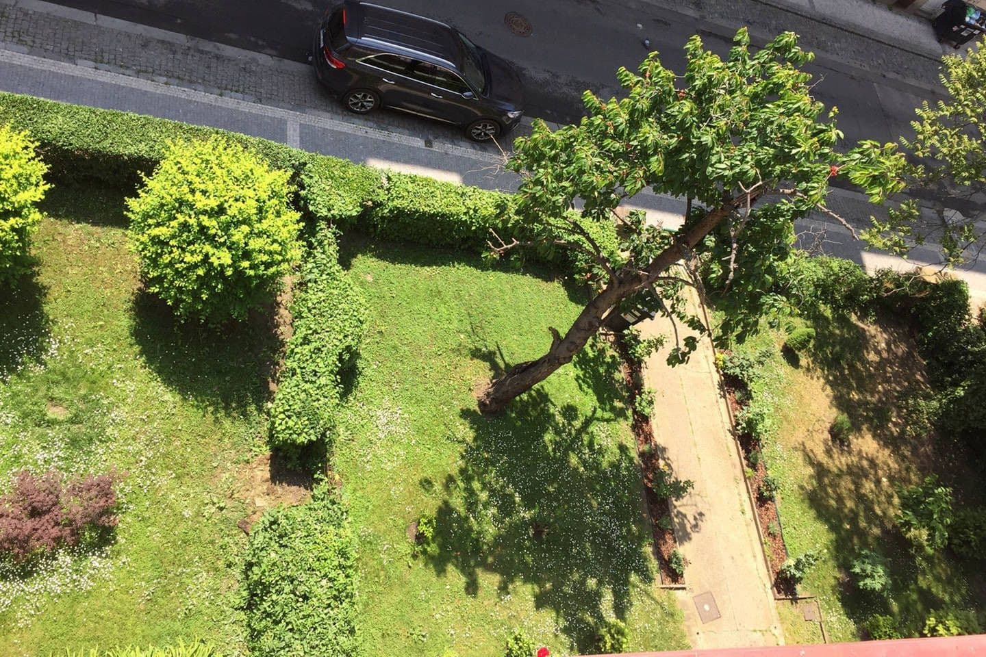 Prenájom bytu 34 m², Bulharská, Praha, Praha Prenájom bytu 34 m², Bulharská, Praha, Praha