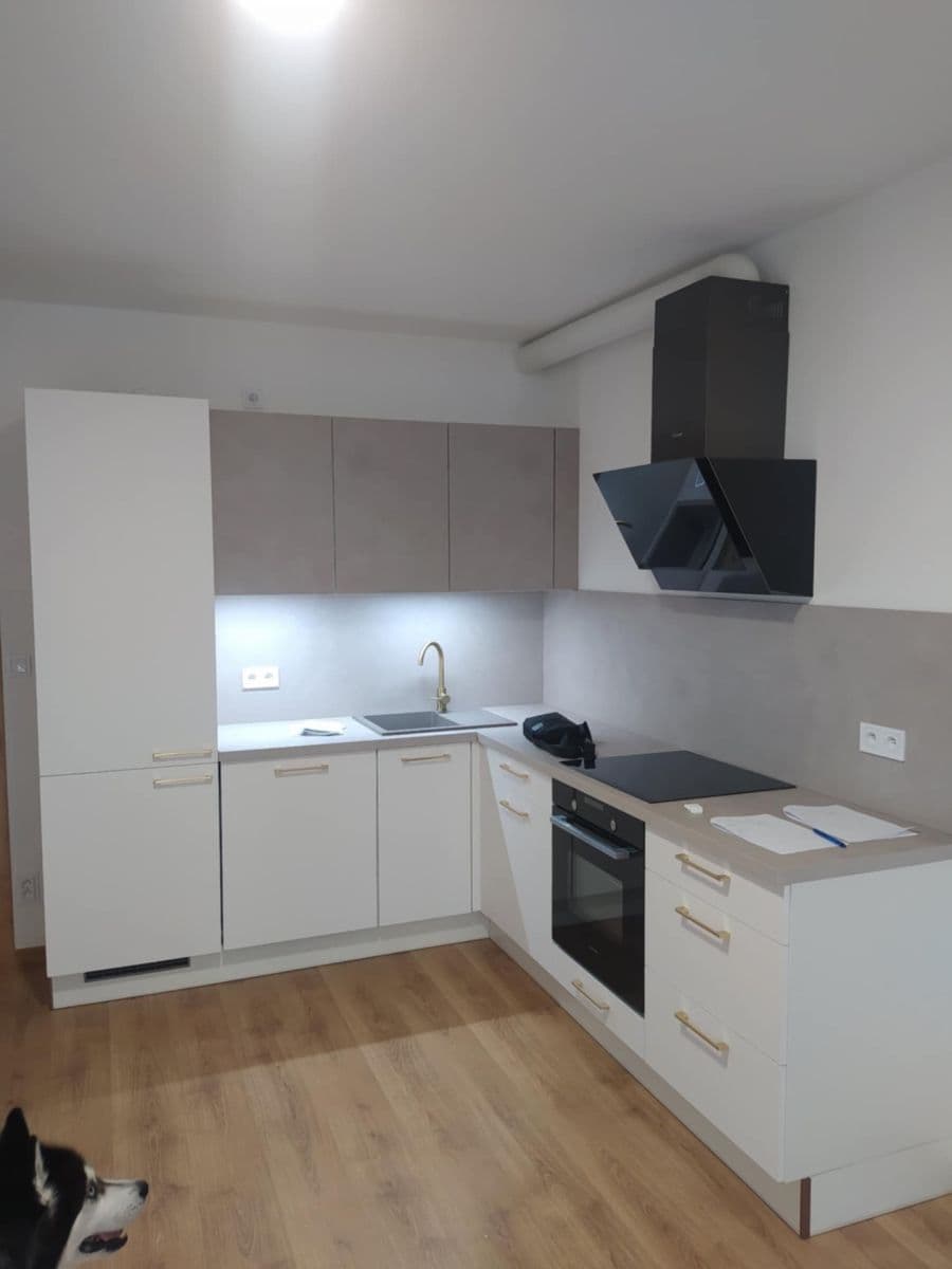 Prenájom bytu 1-izbový 54 m², Frištenského, Olomouc, Olomoucký kraj Prenájom bytu 1-izbový 54 m², Frištenského, Olomouc, Olomoucký kraj